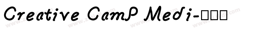 Creative CamP Medi字体转换